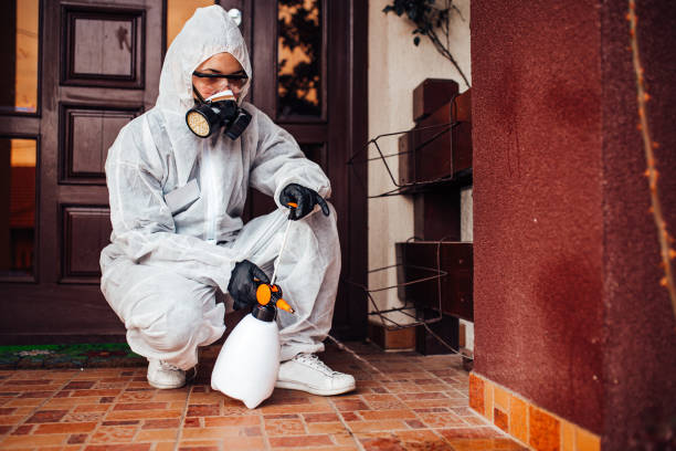 Reliable Rodent Control contractor in Bellair-Meadowbrook Terrace, FL by Nex Pest Control