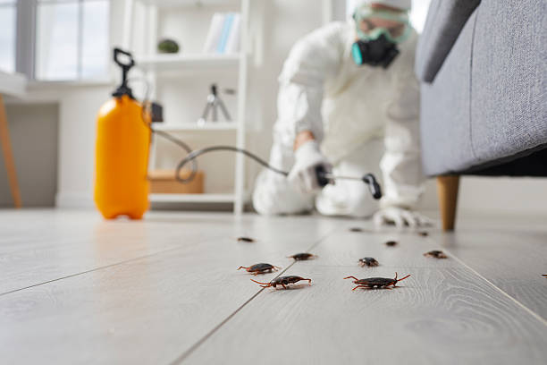 Trusted Cockroach Control service in Bellair-Meadowbrook Terrace, FL - Nex Pest Control