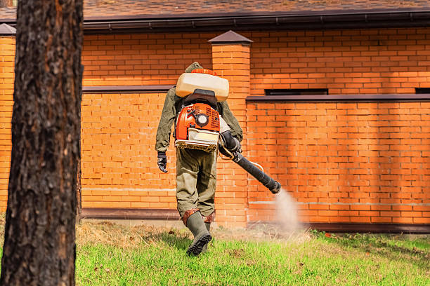 Trusted Mosquito Control service in Bellair-Meadowbrook Terrace, FL - Nex Pest Control